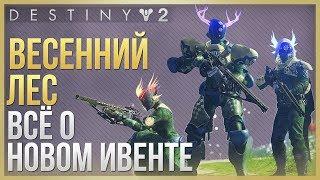 Destiny 2 Весенний лесКраткий обзор