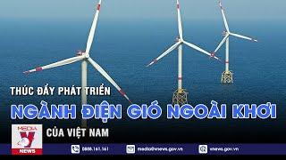 Thúc Đẩy Phát Triển ngành Điện Gió Ngoài Khơi của Việt Nam - VNEWS