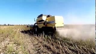 Комбайн New Holland TC 5080 уборка подсолнуха