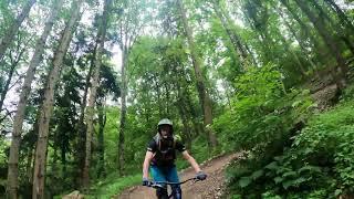 Laat summers easy ride in Freiburg im Breisgau