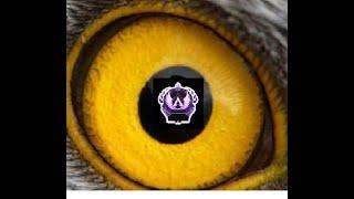 My Eagle Eyes playing with Zak Wylder and YoutubePerish 2 predators Insane Wins good support