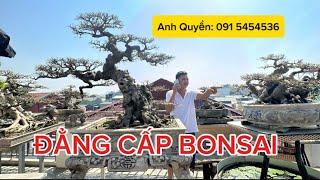 VƯỜN BONSAI TRÊN CAO ĐẸP NHẤT NHÌ HỮU BẰNG - TOÀN CỐT ĐẸP, MỊN TÍT GIAO LƯU. QUÁ BẤT NGỜ