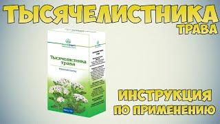 Тысячелистника трава инструкция по применению препарата: Показания, как применять, обзор препарата