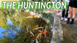 The Huntington Library, Art Museum And Botanical Gardens Tour  【4K】 60fps