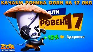 КАЧАЕМ ПАНДУ РОНИНА ОЛЛИ НА 17 УРОВЕНЬ  В ИГРЕ ZOOBA