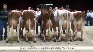 Wintershow Zwolle roodbont