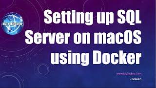 Setting up SQL Server on macOS using Docker