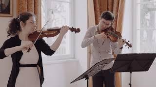 J.-M.Leclair. Vivace from Duo IV op.12 Anna Dmitrieva & Evgeny Sviridov, baroque violins