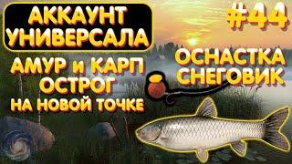 Аккаунт универсала #44 | Оснастка Снеговик на НОВОЙ точке | Амур и Карп | Острог | Русская Рыбалка 4