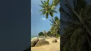 Pixabay Videos with Sound#short