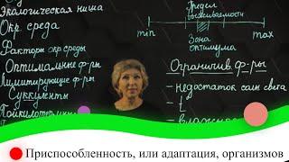 Приспособленность, или адаптация, организмов. 8 класс.