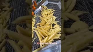 French Fries Production Line Chips Solution