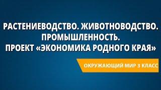 Растениеводство. Животноводство. Промышленность. Проектное задание