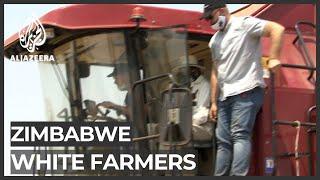 Zimbabwe: Return of white farmers may boost food production