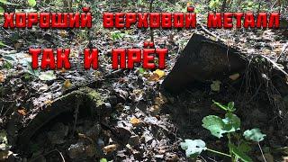 МНОГО  ВЕРХОВОГО МЕТАЛЛА. БОЛОТНЫЕ ТРАКИ, КАТКИ. МЕТАЛЛОКОП НА ТОРФЯНИКАХ. НАШЛИ НЕКОПАННОЕ МЕСТО.