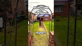 This is What Happens When Your Client Is Expecting a Baby | Satisfying Lawn Transformation 