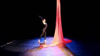 Aerial silk I La serpiente