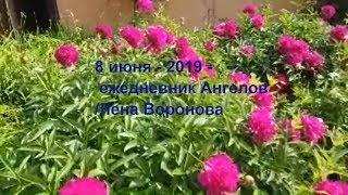 8 июня 2019/ежедневник Ангелов/Лена Воронова