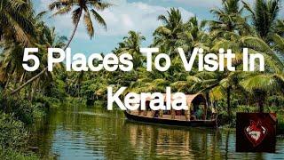 Kerala Tour ️ || 5 Places To Visit In Kerala || Foxy || #kerala  #video #shorts #youtube