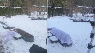 QUICK & EASY DIY - Install Row Cover to keep vegetables in raised bed from freezing #gardening #diy