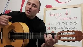 ЦОЙ.ВОСЬМИКЛАССНИЦА.Вступление.Урок #guitar #guitarlesson #урокигитары