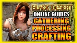 Black Desert Online Gameplay and Guides - Gathering, Processing, and Crafting Explained!