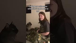 #cat #dog #funny #happycats #catmemes #music #memes #pets