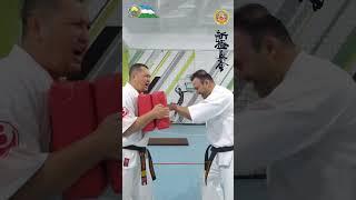 【新極真会】 Ulugbek Khamdamov (Uzbekistan) THE 13TH WORLD KARATE CHAMPIONSHIP　SHINKYOKUSHINKAI KARATE