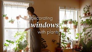 Decorating Window with Plants | DIY Window Garden Ideas | 05