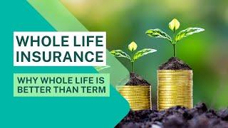Benefits of Whole Life Insurance | ANGyL Finance