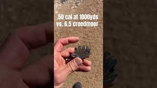 .50 cal vs. 6.5 creedmoor at 1000 yards #science