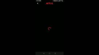 Netflix not working