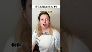 深度還原我家貓貓狗狗 #段子 #搞笑 #搞笑短視頻合集 #funny #shorts