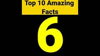 top 10 amazing fact 