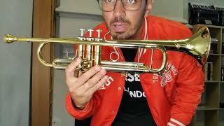 Luis Martelo - Solo Trumpet Model XYTR 650