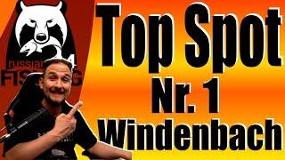 Russian Fishing 4 - Top Spots - Windenbach Nr. 1 Spot