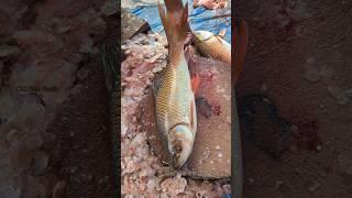 Amazing!! Special Perfect Size Rohu Fish Cutting Skills in Fish Market  || #shorts #cuttingskills