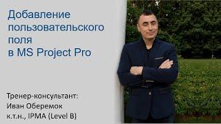 Добавление пользовательского поля в MS Project Pro