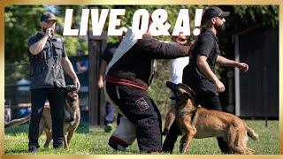 LIVE Dog Training Q&A!