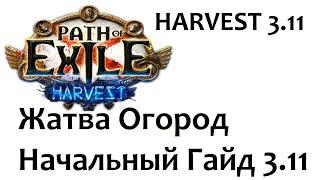 Path of Exile Жатва Огород Начальный гайд по огороду 3.11 как вырастить урожай семена Harvest