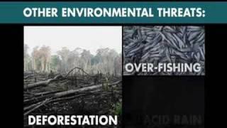 2008 Election - Obama - Environment