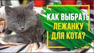 Выбираем лежанку для кошки