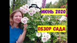 Сад для души в июне! Обзор сада: чудесная прогулка!