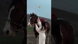 «Лошади не учат словами. Они воспитывают своим молчанием.» #казахстан #horse