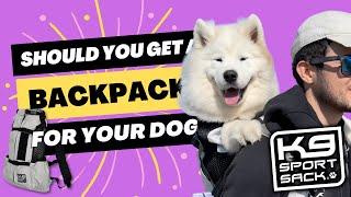 Dog Backpack Review: The K9 Sport Sack - Samoyed Approved?