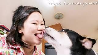 My dog used tongue to kiss and lick my tongue