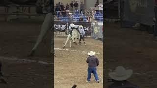 #atta #bull #attaboy #cowboy #rodeostyle #rodeo #bullriders #bulls #attagirl #rider #8seconds