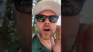 This Garden Hack Will Change Everything | The Secret to a Low | Maintenance Lawn.