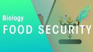 Food Security | Ecology & Environment | Biology | FuseSchool