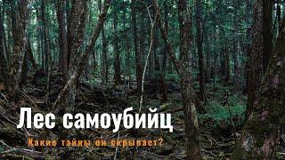 Лес cамоубийц - Лес Аокигахара l Самоубийства в Японии